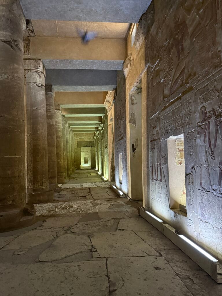in Abydos